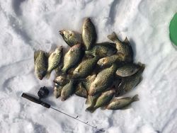 Ice Fishing for Crappie 2022